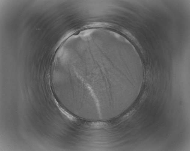 X0000080151425200701051528
