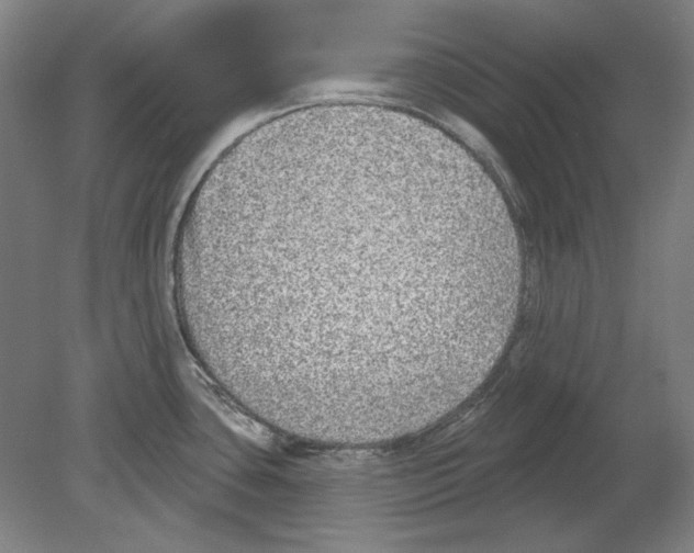 X0000080151435200701051528