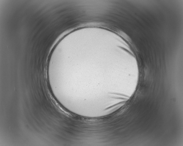 X0000080151436200701051528