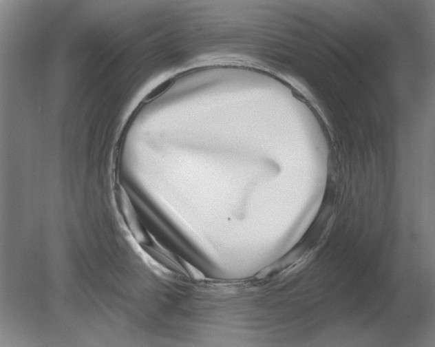 X0000080151438200701051528