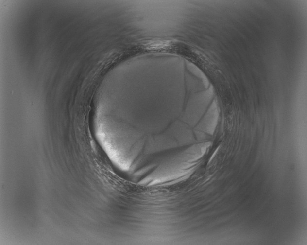 X0000080151441200701051527