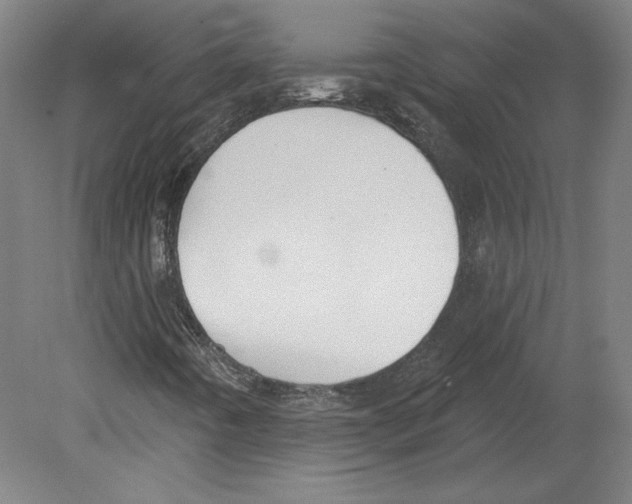 X0000080151442200701051527
