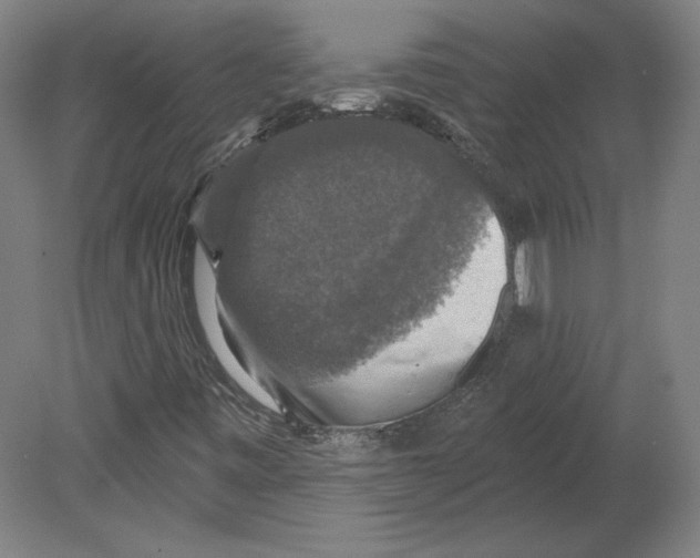 X0000080151443200701051527