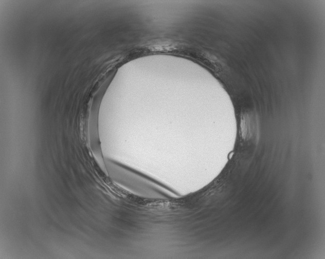 X0000080151444200701051527