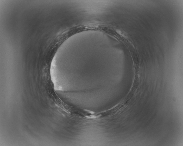 X0000080151445200701051527