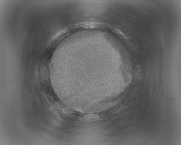 X0000080151446200701051527
