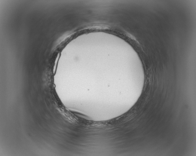 X0000080151448200701051527