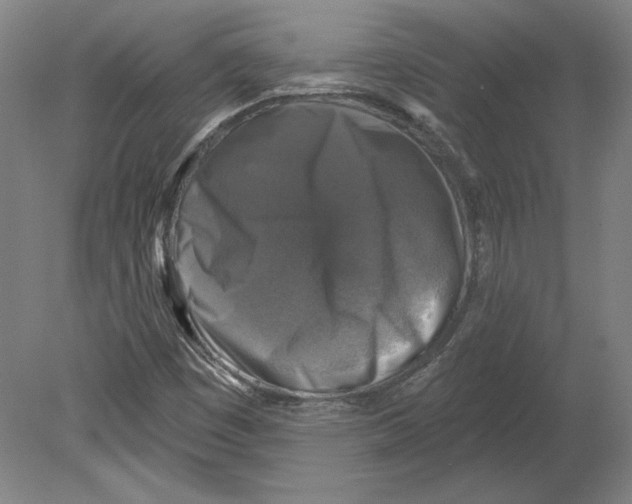 X0000080151449200701051527