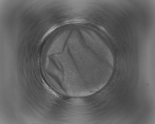 X0000080151450200701051527