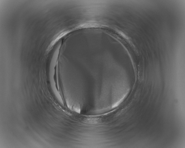 X0000080151453200701051527
