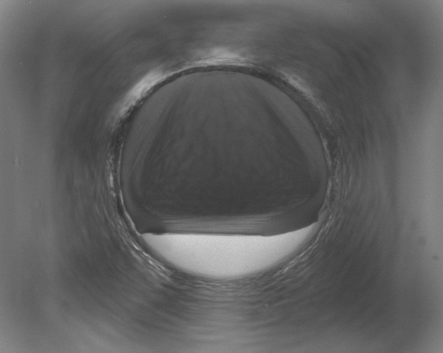 X0000080151455200701051527