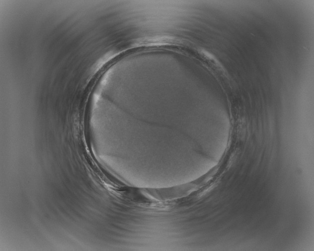 X0000080151457200701051527