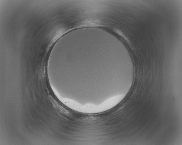 X0000080151459200701051527
