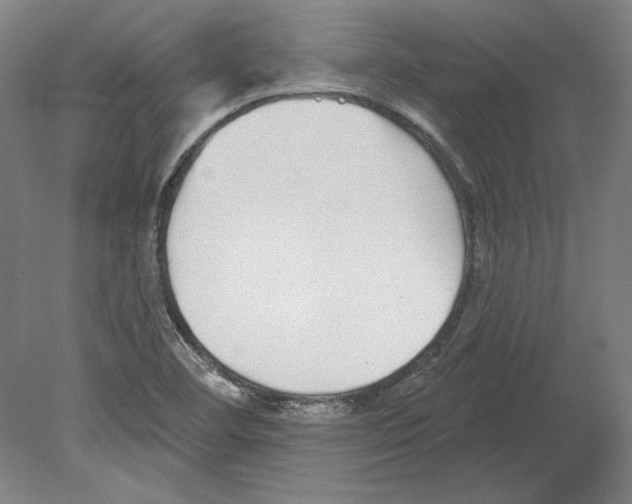 X0000080151460200701051527
