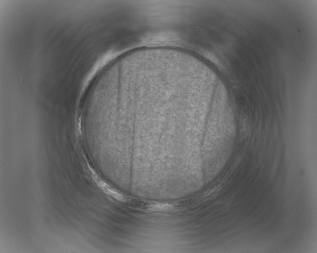 X0000080151462200701051527