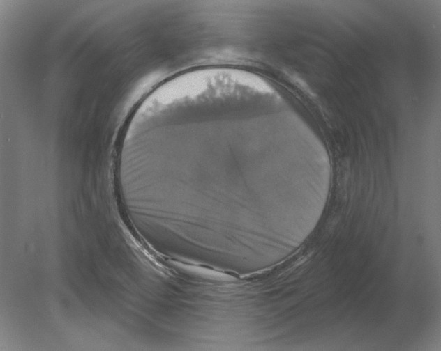 X0000080151463200701051527
