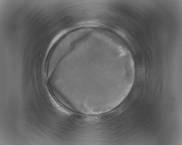 X0000080151466200701051527