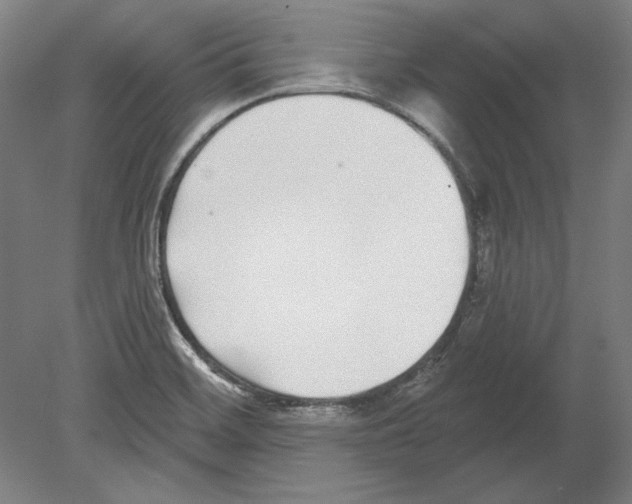 X0000080151468200701051527