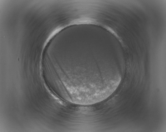 X0000080151469200701051527