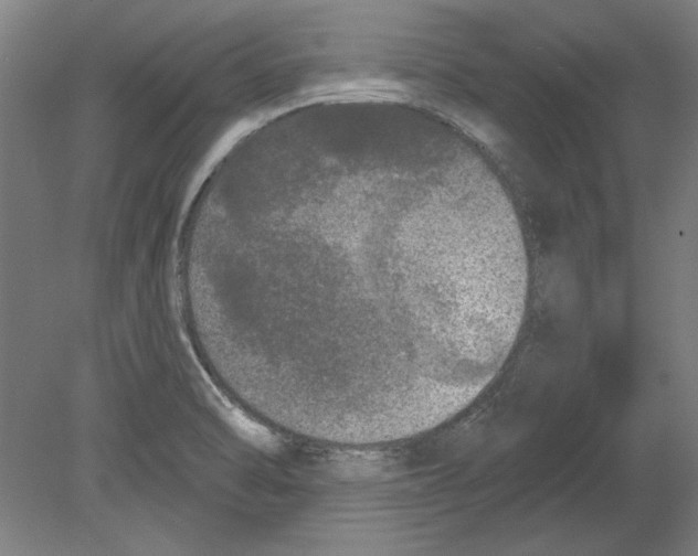 X0000080151470200701051527