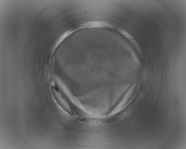 X0000080151473200701051526
