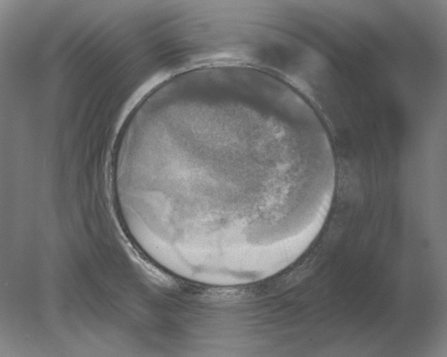 X0000080151474200701051526