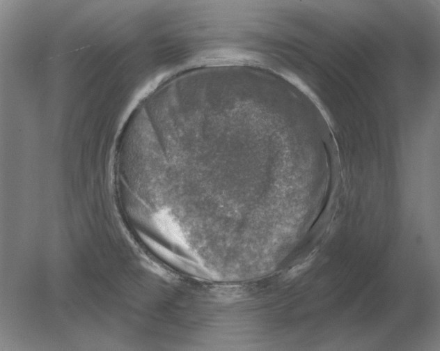 X0000080151477200701051526