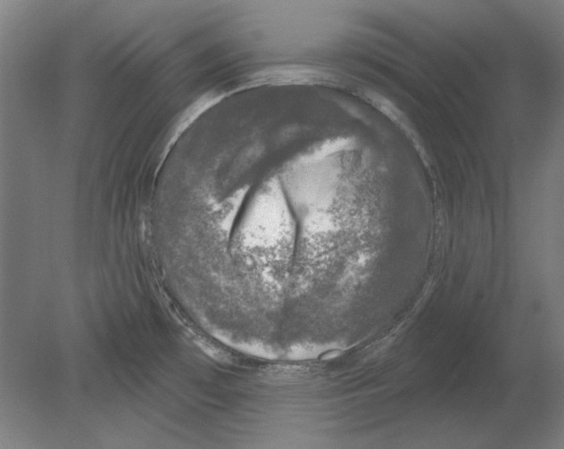X0000080151481200701051526