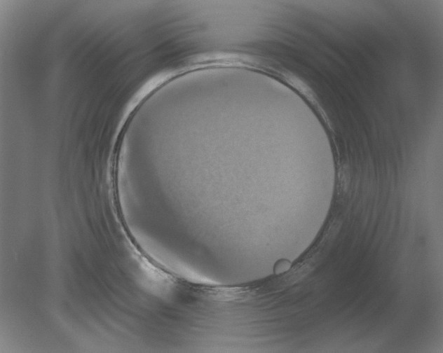 X0000080151482200701051526