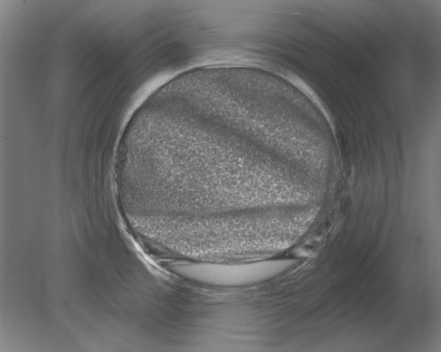 X0000080151485200701051526