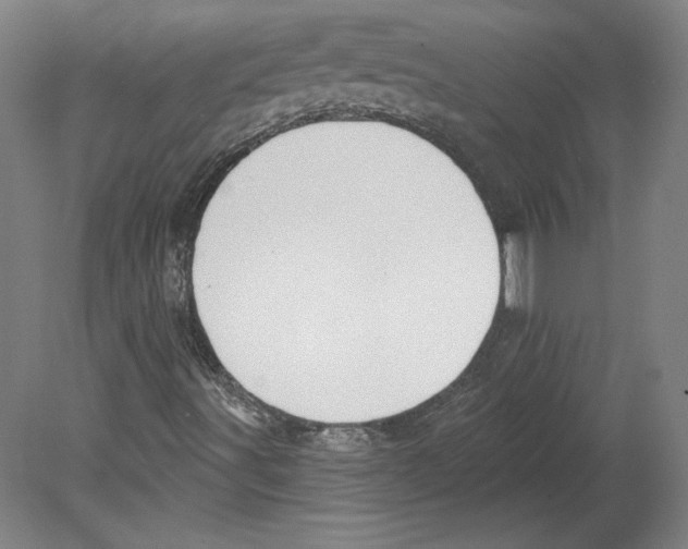 X0000080151491200701051525
