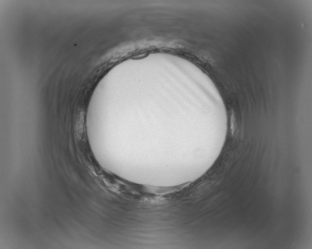 X0000080151492200701051525