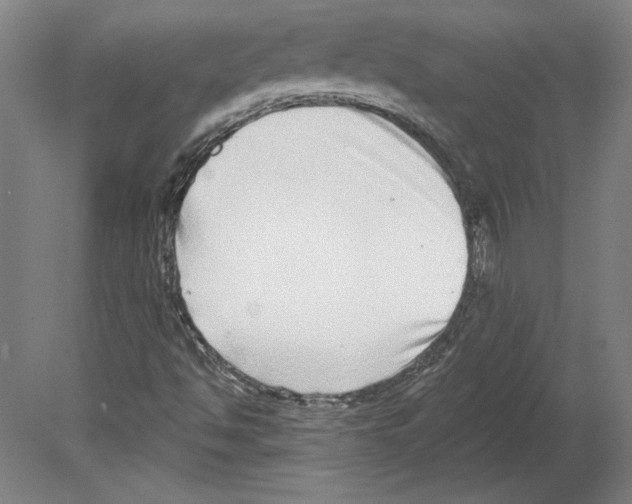 X0000080151494200701051525