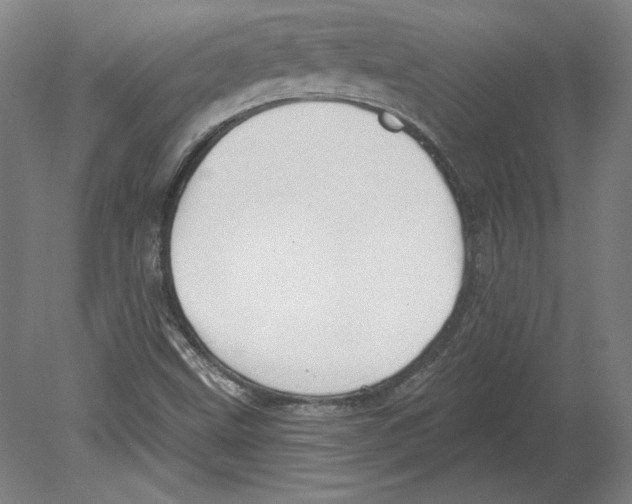 X0000080151499200701051526