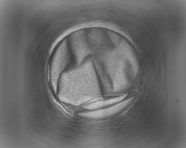 X0000080151510200701051526