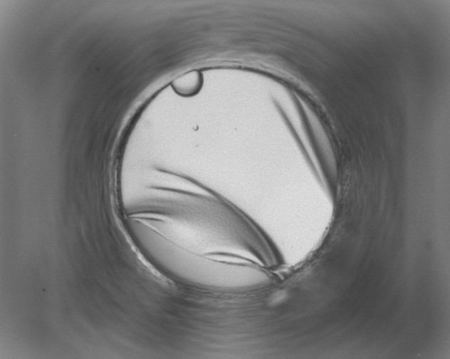 X0000080151517200701051526