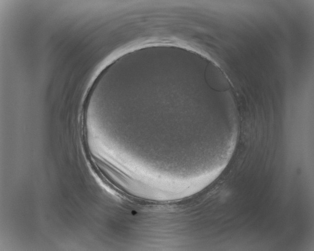 X0000080151519200701051526
