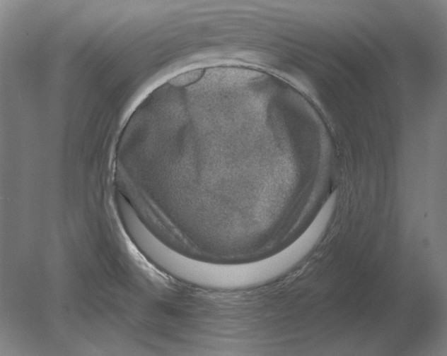 X0000080151524200701051526
