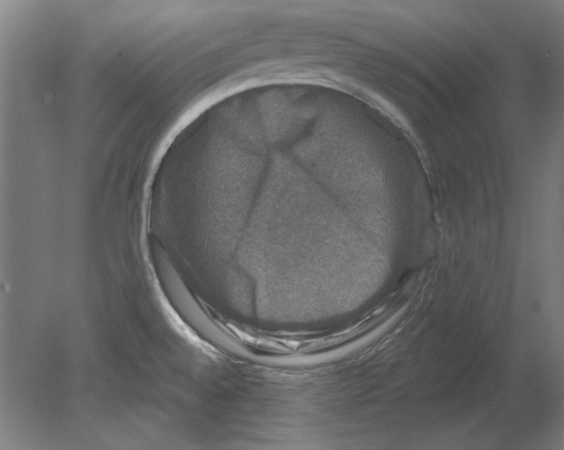 X0000080151528200701051526