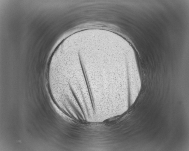 X0000080151531200701051526