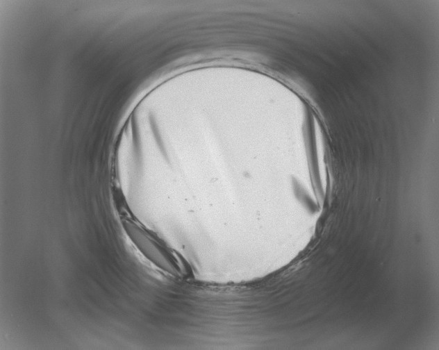 X0000080151532200701051526
