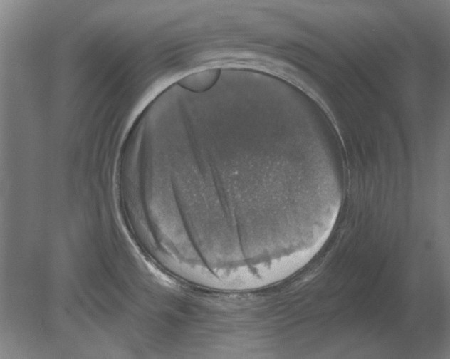 X0000080151533200701051526