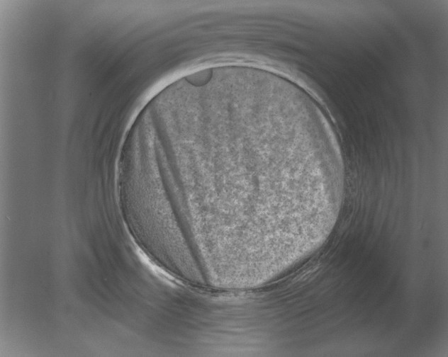 X0000080151535200701051526