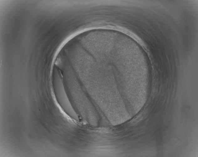 X0000080151536200701051526