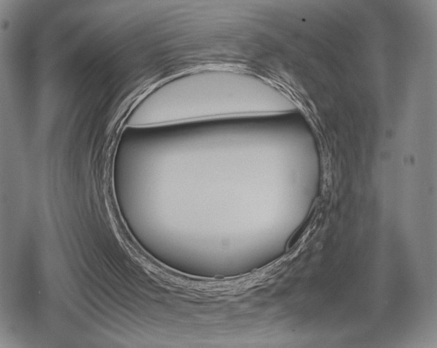 X0000080160001200612081039