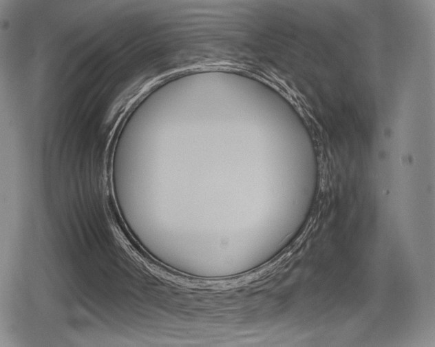 X0000080160002200612081039