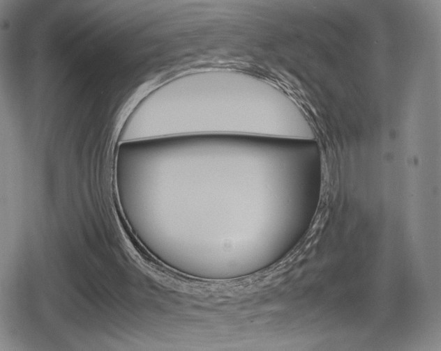 X0000080160003200612081039