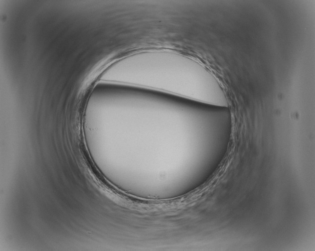 X0000080160005200612081039