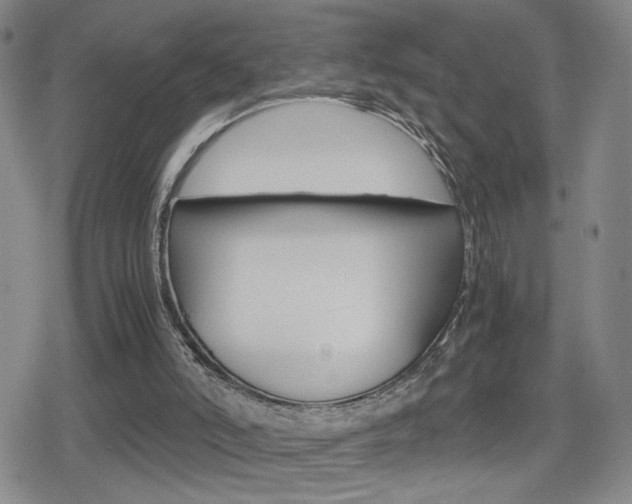 X0000080160006200612081039