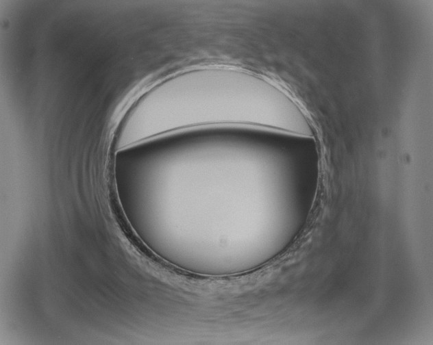 X0000080160007200612081039